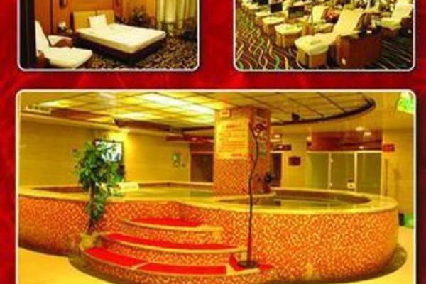 广州98年小老虎生活记